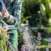 Unlock Your Garden’s Potential: The Benefits of Hiring a Gardening Company in Tunbridge Wells