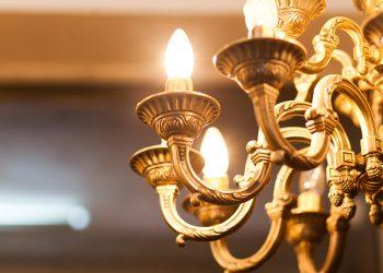 Bright Ideas: Navigating the Variety of LED Bulb Options for Your Home