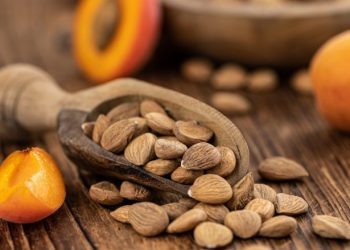 The Unsung Superfood: How Apricot Kernels Can Boost Your Wellbeing