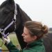 The Advantages of Working with an Independent Equine Vet