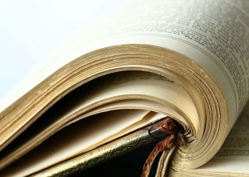 Unpacking Language: The Significance of Exploring the Architecture of Words and Ideas