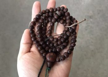 Traveling With a Bodhi Seed Mala