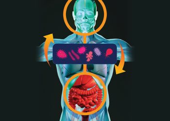 Beyond Digestive Health: How Gut-Brain-Axis Experts Are Reshaping Our Approach to Wellness