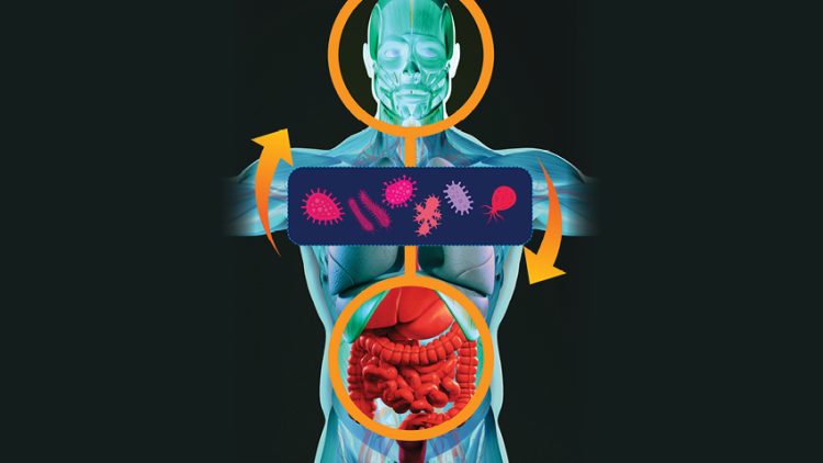 Beyond Digestive Health: How Gut-Brain-Axis Experts Are Reshaping Our Approach to Wellness