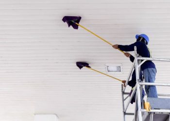 Elevating Standards: The Case for Professional High Level Cleaning