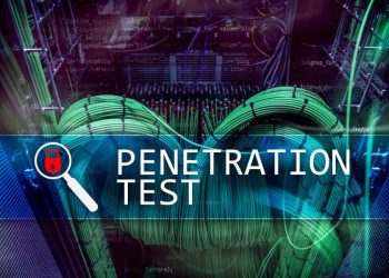 The Role of OWASP Penetration Testing in Cyber Security