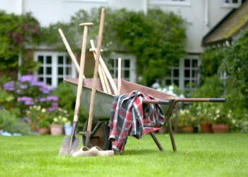 Make the Most of Your Garden with a Professional Tidy Up
