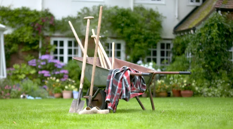 Make the Most of Your Garden with a Professional Tidy Up